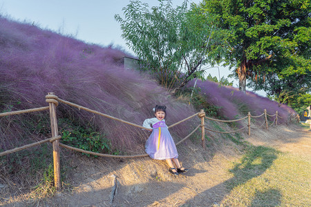 紫草粉黛夕阳女童儿童户外站着摄影图配图