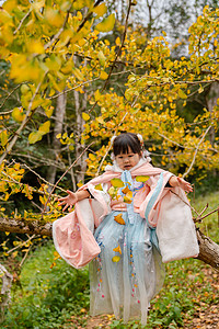 抛树叶的女孩上午儿童银杏秋天抛摄影图配图