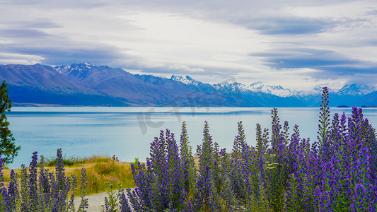 新西兰下午风景户外风景摄影图配图