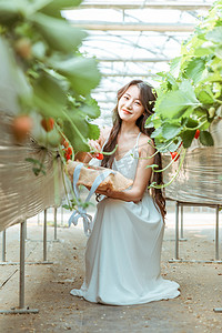 文艺夏天白天摘草莓的美女采摘园蹲着摄影图配图