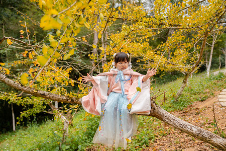 坐在树上的女孩正午儿童银杏抛摄影图配图