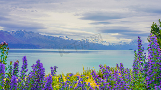 新西兰的湖泊下午湖户外旅游摄影图配图
