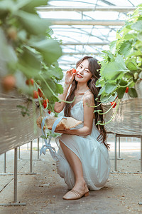 文艺夏天白天穿着白色长裙的美女采摘园手拿草莓摄影图配图