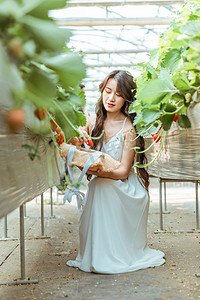 文艺夏天白天穿着白色长裙的美女采摘园摘草莓摄影图配图