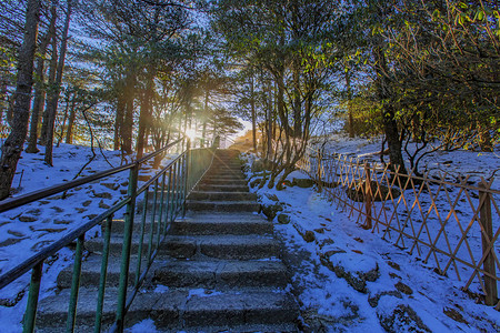 阶梯栏杆阳光和白雪摄影图