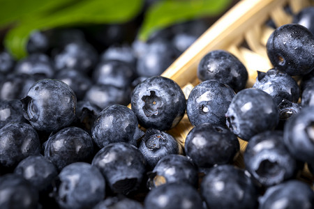 蓝色多图摄影照片_蓝色新鲜水果营养蓝莓摄影图配图
