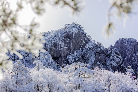 雾凇树枝和山峰摄影图