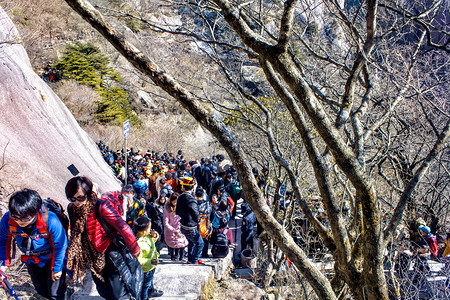 出游季摄影照片_树枝山峰摄影图