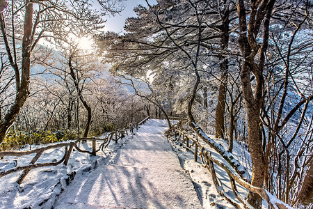 阳光白雪和道路摄影图