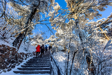 白雪和台阶摄影图