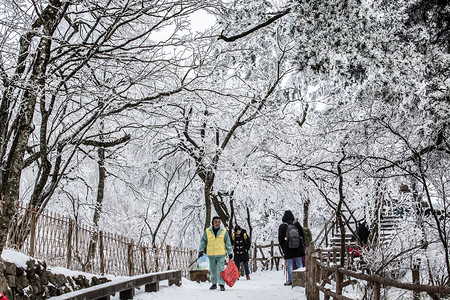 雪摄影照片_黄山雪景的照