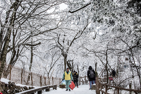 牛年十二月摄影照片_黄山雪景的照