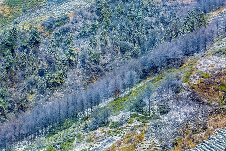 树林白雪和山坡摄影图