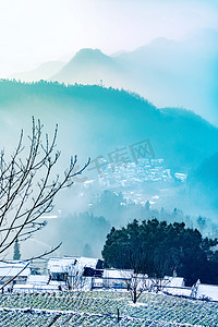 冬天降温摄影照片_树枝村子和白雪摄影图