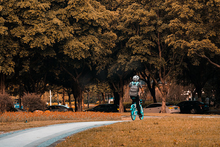 秋季女装时尚海报摄影照片_骑自行车的背影