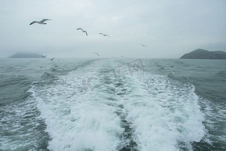 大海波浪海鸥摄影照片_海水中的海浪下午海浪海洋无摄影图配图