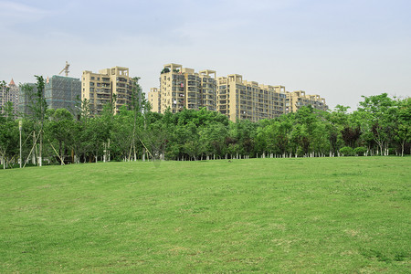 小草地摄影照片_环保城市绿化草地下午草地城市无摄影图配图