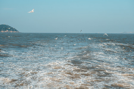 大海波浪海鸥摄影照片_汪洋大海下午海水海洋无摄影图配图