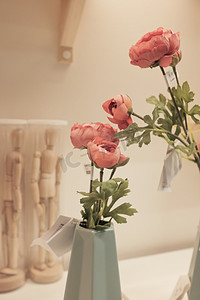室内家装植物花朵文艺摄影配图摄影图配图