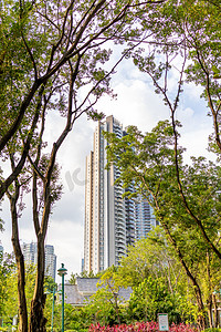 城市下午城市花园绿化绿植摄影图配图