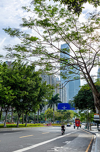 城市下午城市道路绿化高楼摄影图配图