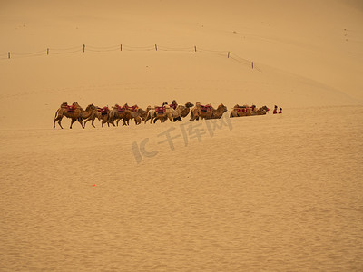 沙漠美景白天沙漠鸣沙山成群的骆驼摄影图配图