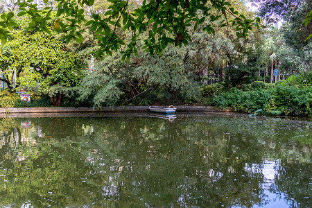 绿植白天湖面船背景摄影图配图