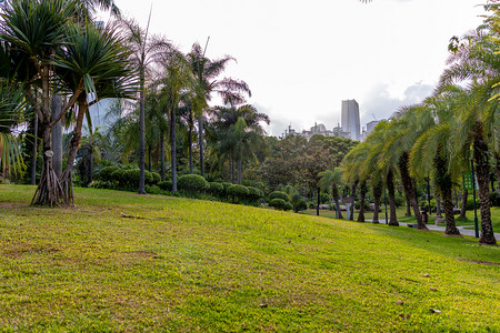 城市下午公园花园草地摄影图配图