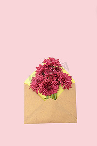 植物白天雏菊粉色背景摆放摄影图配图