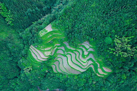 耕地红线摄影照片_山背梯田初夏耕地山村山坡水稻田摄影图配图