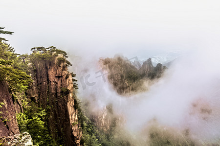 云海山峰和松树摄影图