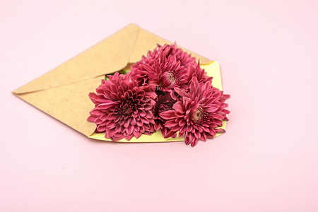 小清新信纸粉紫摄影照片_植物白天雏菊信封摆放摄影图配图