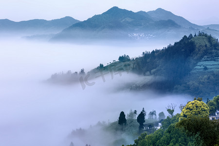 山脉摄影照片_山脉树木和云海摄影图