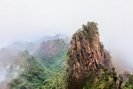 山峰云海摄影照片_山峰松树和云海摄影图