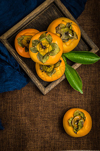 柿子摄影图
