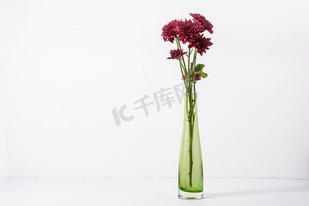 静物白天花瓶花朵白色背景摆放摄影图配图