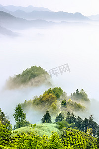 山峰摄影照片_山峰云雾和树木摄影图