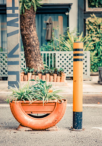 街道植物摄影照片_文艺街景植物花卉清新摄影图配图
