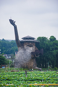 勿忘打卡摄影照片_广州花都红山村荷花园打卡点摄影图配图