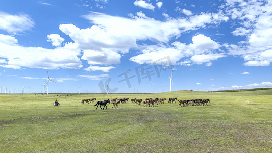 草原蓝天马上午马匹夏季素材摄影图配图