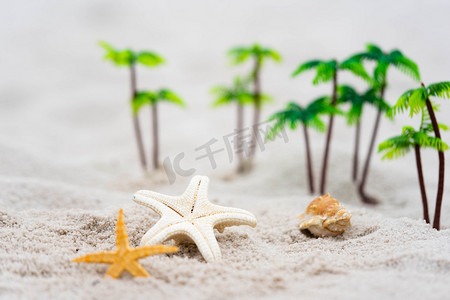 沙粒摄影照片_夏季白天沙滩户外椰子树摄影图配图