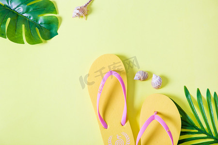 夏天清凉沙滩鞋绿植桌面背景摄影图配图