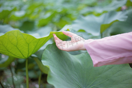 汉服古装立夏古风荷叶摄影图配图