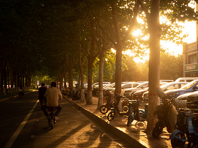 城市美景阳光下行人树影中骑行摄影图配图