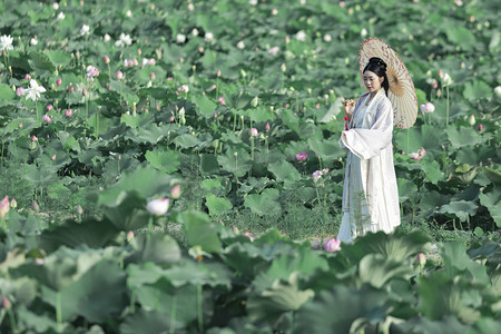 浪漫赏花踏春季摄影照片_汉服正午美女荷塘赏荷摄影图配图