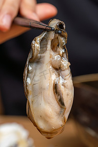 生蚝白天美食食物摄影摄影图配图