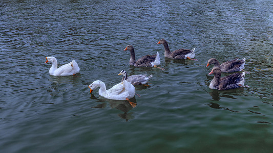 休闲观光摄影图片-休闲观光摄影作品-千库网