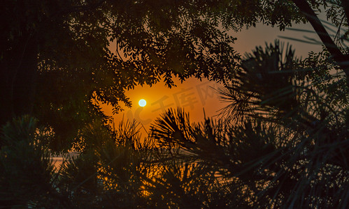 夏天自然风光夕阳太阳户外树林缝隙逆光剪影摄影图配图