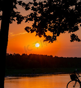 傍晚时分的摄影照片_夏天自然风光傍晚夕阳户外天空树木剪影摄影图配图