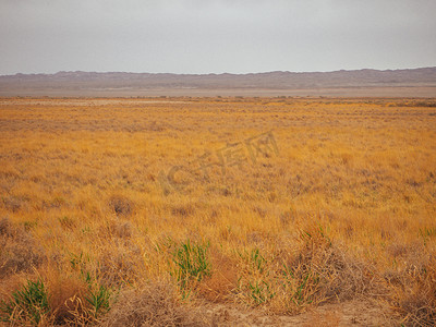 敦煌美景白天黄草沙漠旁自然风光摄影图配图